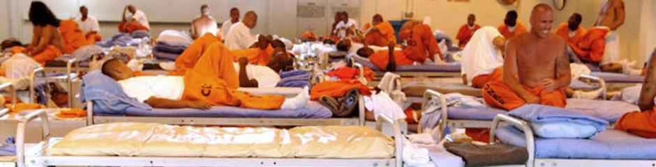 Texas Inmate Search Texas Prison Inmate Search